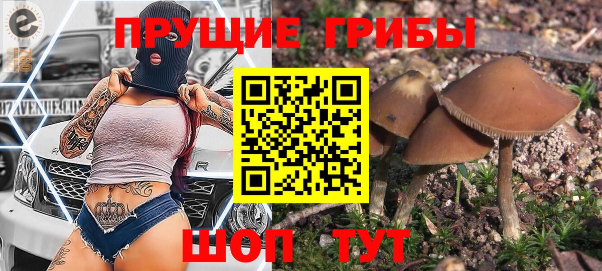 Псилоцибиновые грибы GOLDEN TEACHER  Псилоцибиновые грибы MAGIC MUSHROOMS  Вход с VPN  Карталы 
