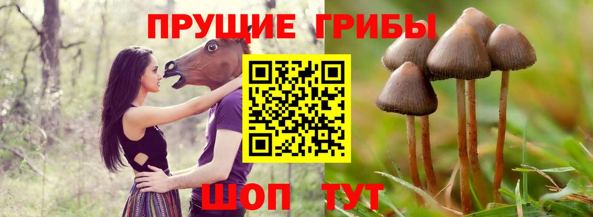 Псилоцибиновые грибы мухоморы Карталы